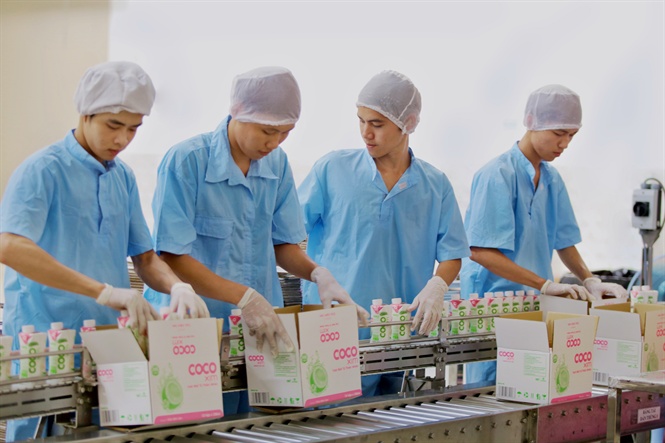 Sản phẩm dừa tươi Organic Bến Tre đã có mặt ở nhiều quốc gia trên thế giới Nhu cầu thị trường toàn cầu đối với nước dừa tươi đang tăng 30% mỗi năm. Việt Nam là quốc gia sản xuất vỏ dừa lớn thứ tám thế giới, sản xuất 1,2 tỷ trái mỗi năm. Bến Tre với 70. 000 ha dừa là một trong những nguồn cung cấp dừa lớn nhất của Việt Nam. Từ đây, có các sản phẩm ký gửi dừa đạt tiêu chuẩn quốc tế, như Cocoxim (Betrimex), Vico (ACP), VietCoco (Công ty TNHH Chế biến dừa Lương Quới). . Các loại sản phẩm từ dừa như sữa dừa, dầu dừa, dầu dừa, nước cốt dừa, dừa khô. . Tuân theo tiêu chuẩn quốc tế và phân phối ra thị trường hơn 40 quốc gia trên thế giới. Bà Châu Kim Yến, Giám đốc điều hành Betrimex, cho biết: 'Nhà máy nước dừa và Nhà máy sữa dừa Betrimex, công suất 37 triệu lít/năm, có công nghệ khử trùng tiên tiến nhất cho đến nay để tạo ra sản phẩm chất lượng cao. Chất lượng cao, an toàn cho sức khỏe người tiêu dùng. Giữ nguyên hương vị tươi ngon tự nhiên của sản phẩm mà không cần sử dụng chất bảo quản. Bà Kim Yến cho biết thêm, song song với việc nâng cao chất lượng sản phẩm đầu ra đáp ứng các nhu cầu an toàn vệ sinh thực phẩm ngày càng khắt khe của người tiêu dùng, Betrimex còn chú trọng cải thiện đời sống kinh tế cho các hộ dân trồng dừa, ổn định an sinh xã hội để bà con gắn bó lâu dài với cây dừa. Nông dân Bến Tre thu hoạch dừa Betrimex hỗ trợ bình ổn giá sản phẩm đầu ra cho các hộ nông dân theo mô hình này bằng cam kết phát triển bền vững thông qua việc nâng cao chất lượng trái dừa bằng kế hoạch phát triển 10.000 ha vùng nguyên liệu dừa đạt chuẩn organic để cho ra đời những quả dừa sạch, chất lượng tốt, an toàn khi sử dụng và đảm bảo hệ sinh thái cây trồng. Đến nay, diện tích vùng nguyên liệu dừa organic của Betrimex là 3.700ha. Bà Nguyễn Thị Diễm Hương, Trưởng bộ phận Phát triển nguyên liệu của Betrimex chia sẻ: Những ngày đầu của chương trình, việc chuyển từ hướng canh tác dừa truyền thống sang làm theo chuẩn hữu cơ khiến người nông dân xứ dừa băn khoăn, lo lắng khi họ phải thay đổi khá nhiều về tập quán canh tác (sử dụng nguồn vật tư hữu cơ đầu vào đúng chuẩn, chăn nuôi tập trung khu vực, bón phân chăm sóc tưới nước định kỳ, kiểm soát sâu bệnh hại bằng thiên địch…). Dây chuyền hiện đại sản xuất các sản phẩm từ dừa đạt ATTP Thấu hiểu được vấn đề này, các kỹ sư nông nghiệp của Betrimex đã đến từng hộ dân một để giới thiệu, thuyết phục và hướng dẫn bà con nông dân cách trồng dừa hữu cơ đạt chuẩn. Bên cạnh đó, Betrimex còn tổ chức nhiều chương trình tập huấn kỹ thuật, cung cấp phân bón miễn phí trong thời gian đầu, giới thiệu các nguồn cung cấp phân hữu cơ chất lượng cho nông dân. Ngoài ra, các kỹ sư Betrimex cũng thường xuyên đến thăm hỏi và kiểm tra tại từng hộ dân trong suốt quá trình canh tác. Chưa dừng lại ở đó, để giải quyết mối lo cho người dân khi trồng dừa Organic, Betrimex cũng đảm bảo bao tiêu đầu ra cho dừa hữu cơ và thu mua dừa tận vườn với giá cao hơn dừa thường từ 5-10%. Dần dần, những dấu hiệu tích cực đã xuất hiện khi làn sóng chuyển đổi sang trồng dừa hữu cơ đã được lan truyền rộng rãi trong từng hộ dân tại tỉnh Bến Tre. Đến nay, đã có khoảng 3.700 ha vườn dừa organic được chứng nhận đạt tiêu chuẩn hữu cơ theo tiêu chuẩn của Mỹ và Châu Âu. Dự kiến đến cuối năm 2020, Betrimex sẽ có khoảng 10.000 ha diện tích vườn dừa Organic được chứng nhận. Một trong những người đồng hành cùng Betrimex phát triển vùng nguyên liệu dừa Organic từ những ngày đầu là ông Lữ Văn Dũng, thuộc ấp 8, xã Hưng Lễ, Huyện Giồng Trôm, Bến Tre. Ông Dũng cho biết, tham gia chuyển đổi sang phương thức canh tác dừa organic không chỉ được nhân viên kỹ thuật của Betrimex tư vấn hướng dẫn kỹ thuật canh tác tăng sinh trưởng phát triển cây dừa; sử dụng vật tư nông nghiệp đầu vào đúng chuẩn mà còn ổn định đầu ra sản phẩm, giá bán sản phẩm cao hơn giá thị trường. Bên cạnh đó, các hộ nông dân như gia đình ông cũng được hưởng chính sách đầu tư từ công ty như cung ứng 100% vật tư nông nghiệp không hoàn lại năm đầu tiên… Ông Huỳnh Thanh Hải, TGĐ Cty Chế biến dừa châu Á (ACP) cũng cho biết, không chỉ đầu tư nhà máy có công suất 25 triệu lít một năm, đạt tiêu chuẩn ATTP của USFDA, BRC, Halal, Kosher, FSSC 22000, HACCP. Cty ACP cũng bất đầu đầu tư xây dựng vùng nguyên liệu organic, hiện đã đạt được diện tích 370 ha./. Nguồn: Nongsanviet.nongnghiep.vn