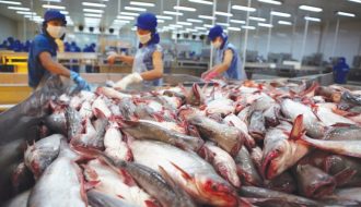 Cá tra Việt Nam được tiêu thụ mạnh tại thị trường Anh