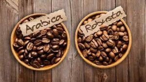 Giá cà phê Robusta và Arabica trên các sàn giao dịch