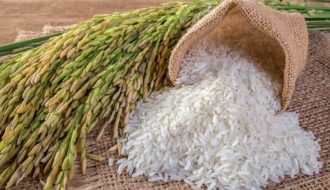 Giá gạo Ấn Độ và Thái Lan có xu hướng tăng