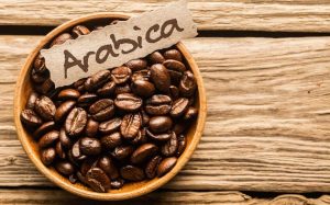 Giá cà phê Arabica