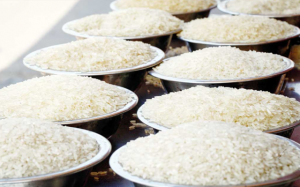 Nhu cầu cao từ các quốc gia Châu Á khiến giá gạo Ấn Độ tăng cao trong tuần qua