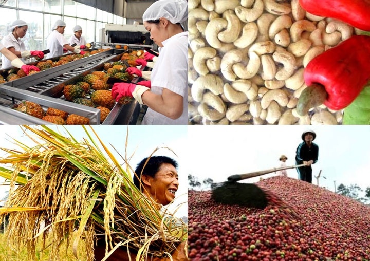 Hiệp định EVFTA đang mở ra cơ hội cho nông sản Việt Nam