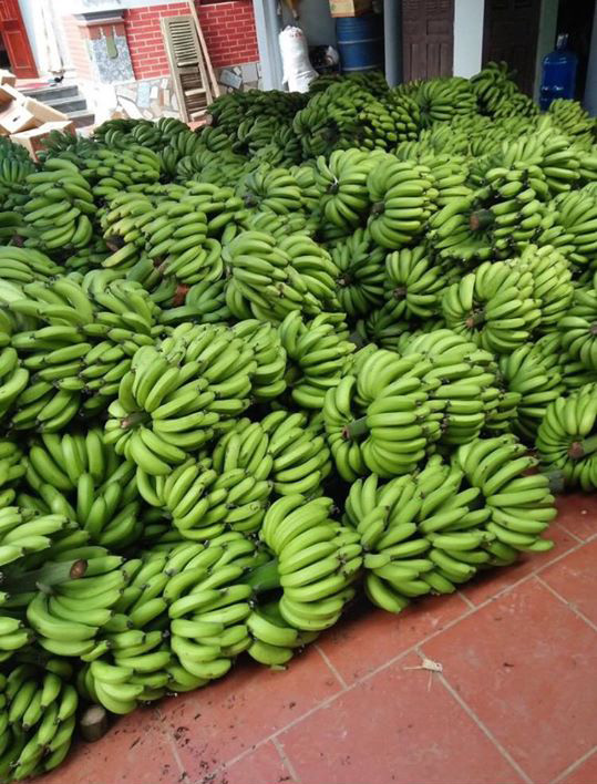 Thị trường nông sản quốc tế gặp khó, trái cây Việt giảm giá mạnh