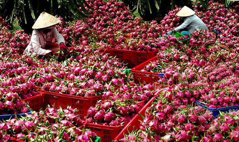 Trung Quốc siết chặt hàng hóa nông sản của Việt Nam qua đường biên