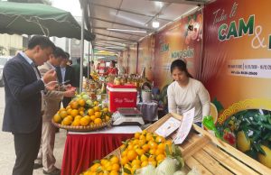 Tuần lễ Cam và nông sản Hưng Yên khai mạc tại Hà Nội