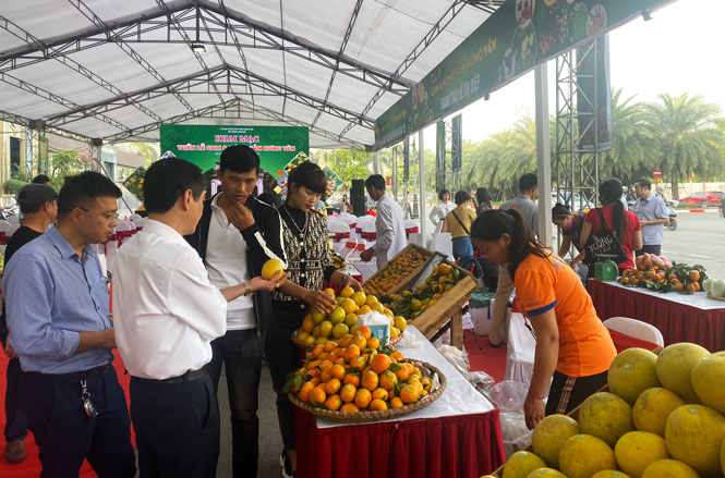Tuần lễ Cam và nông sản Hưng Yên khai mạc tại Hà Nội